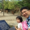 IMG_5403.jpg