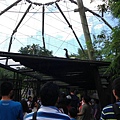 IMG_5404.jpg