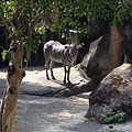 IMG_5406.jpg