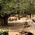 IMG_5416.jpg