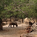 IMG_5418.jpg