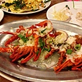 IMG_5081.jpg