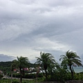 IMG_5129.jpg