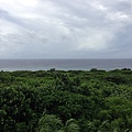 IMG_5155.jpg