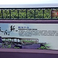 IMG_5156.jpg