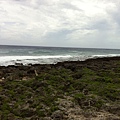 IMG_5953.jpg