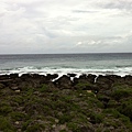 IMG_5945.jpg