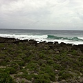 IMG_5950.jpg