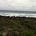 IMG_5951.jpg