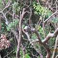 20130810~12 (15).jpg