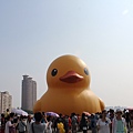 IMG_9382.JPG