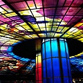 IMG_6281.jpg