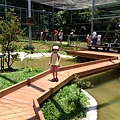IMG_4717.jpg