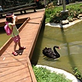 IMG_4718.jpg