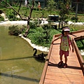 IMG_4720.jpg