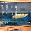 IMG_4866.jpg