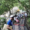 IMG_6798.JPG