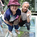 IMG_6836.JPG