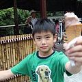 IMG_6863.JPG