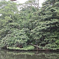 IMG_6877.JPG