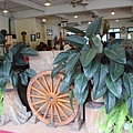 IMG_6879.JPG