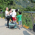 IMG_6936.JPG