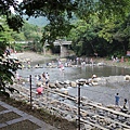 IMG_6981.JPG
