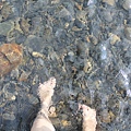 IMG_7003.JPG