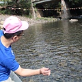 IMG_7005.JPG