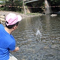 IMG_7006.JPG