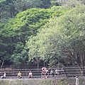 IMG_7030.JPG