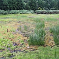 IMG_7146.JPG