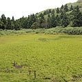 IMG_7147.JPG