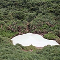 IMG_6469.JPG