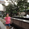 IMG_4329.jpg