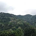 IMG_4226.jpg