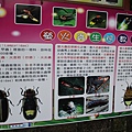 IMG_6081.JPG