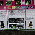 IMG_6083.JPG