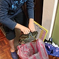 IMG_9911.JPG
