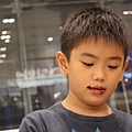 IMG_0153.JPG