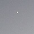 IMG_6239.jpg