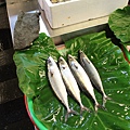 IMG_0385.JPG