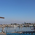 IMG_0795.JPG
