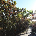 IMG_0838.JPG