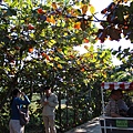 IMG_0843.JPG