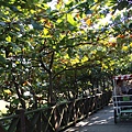 IMG_0851.JPG