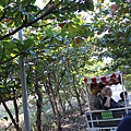 IMG_0858.JPG