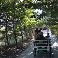 IMG_0860.JPG
