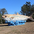IMG_0883.JPG