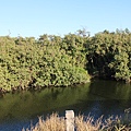 IMG_0935.JPG